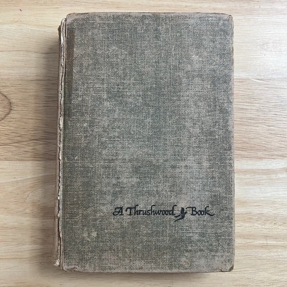 Vintage 1929 Bambi by Felix Salten Thrushwood Book Hardcover Classic